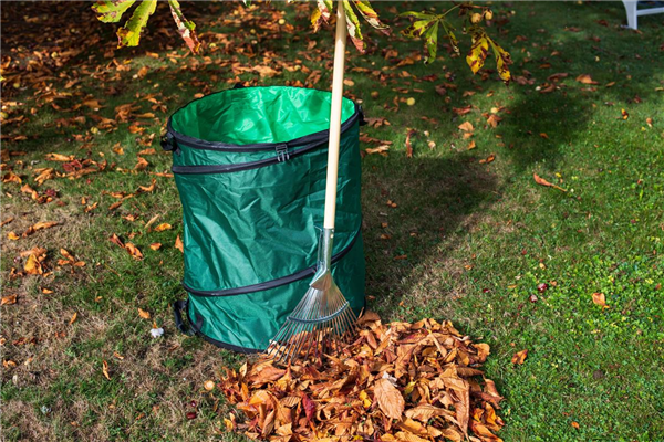 Gartenseminar "Rasen im Herbst"