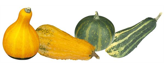 FARBEN VOLLER HERBSTGEFÜHL! 