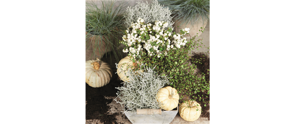 BUNTE HERBSTFREUDE!