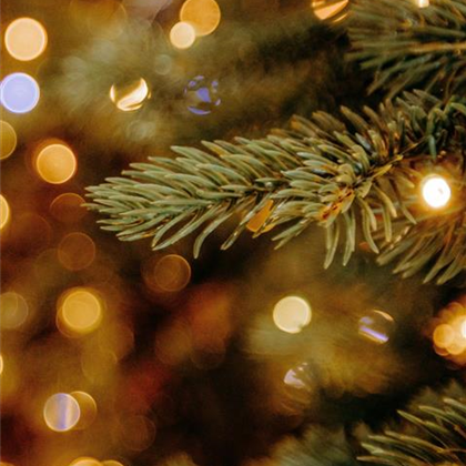 Adventszauber mit Radio Hamburg und Nikolaus