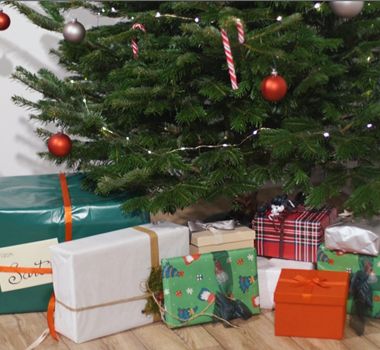 Den Weihnachtsbaum festlich dekorieren