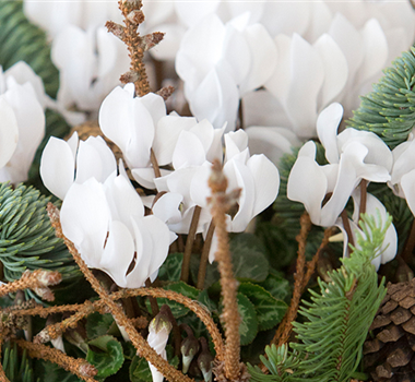 Florale Geschenkideen Florale Geschenkideen