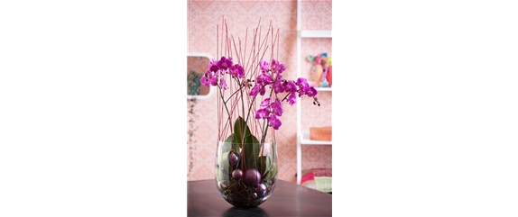 Florale Geschenkideen