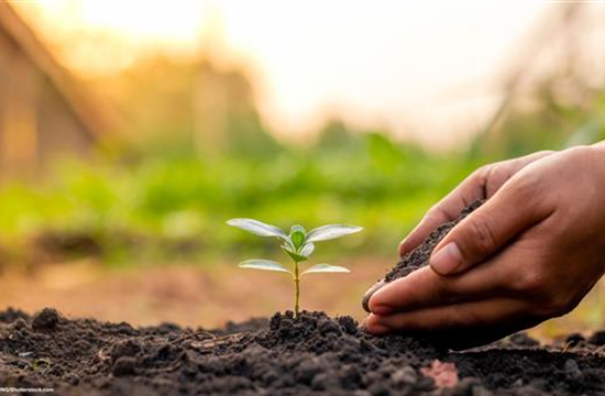 Düngemittel & Dünger Düngemittel & Dünger