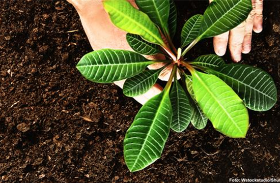 Erden & Substrate Erden & Substrate