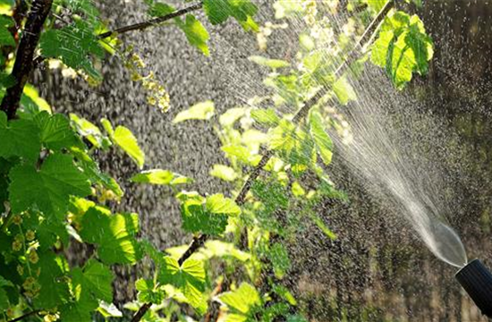 Gartenbewässerung Gartenbewässerung