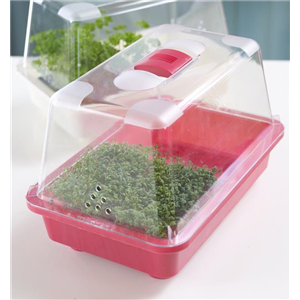 Es keimt! Es sprosst!