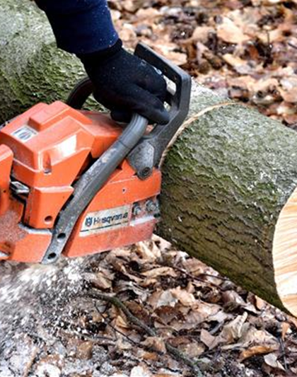 Sägeschein Deutscher Standard (in Anlehnung DGUV 214-059)