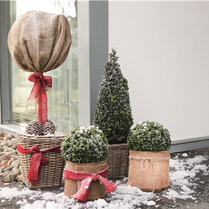 Winterschutz für Pflanzen