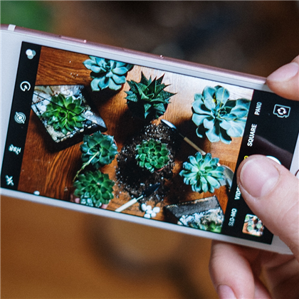 Newsletter Newsletter