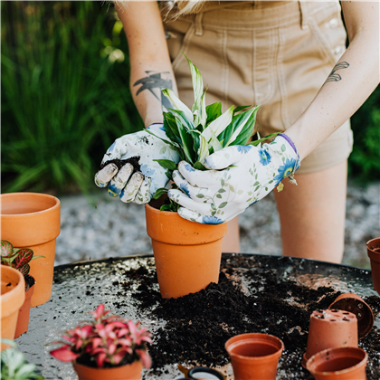 Pflanzservice Pflanzservice