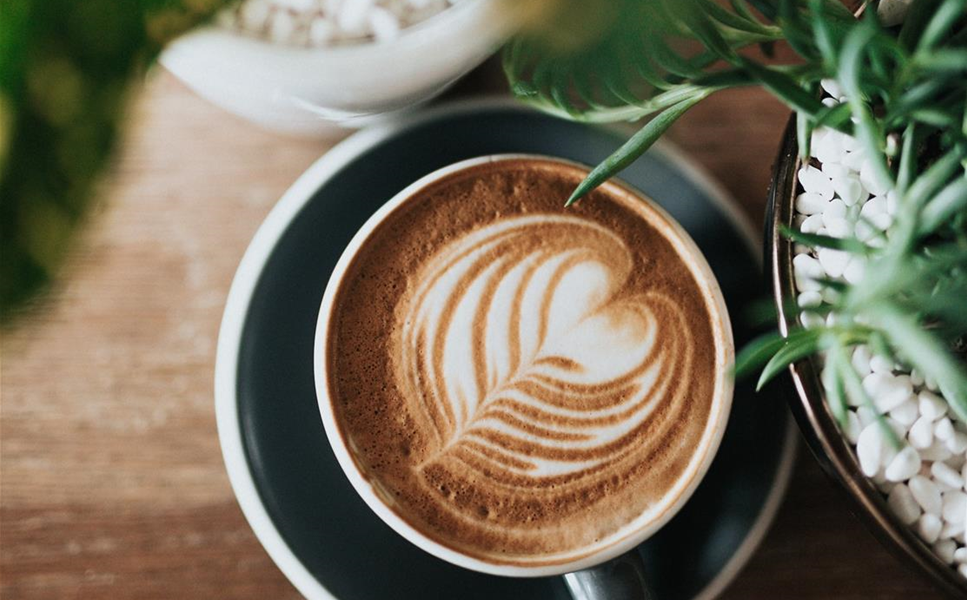 Gartencafé - Reguläre Speisekarte