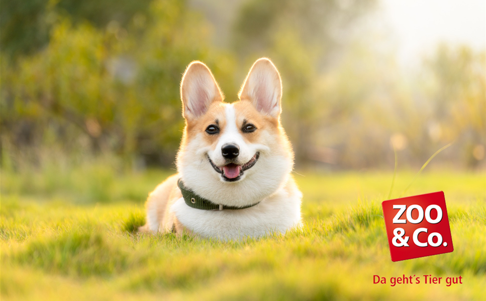 Zoo&Co. in Seevetal - Tierbedarf von A bis Z!