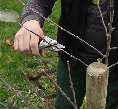 OKTOBER - JETZT GIBT ES NOCH MAL VIEL ZU TUN! OKTOBER - JETZT GIBT ES NOCH MAL VIEL ZU TUN!