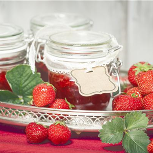 ERNTEGUT HALTBAR MACHEN