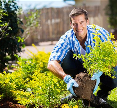 WäNDE FüR DAS GRüNE ZIMMER! WäNDE FüR DAS GRüNE ZIMMER!