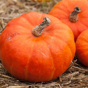 WIE GEHT...ERNTEDANK?