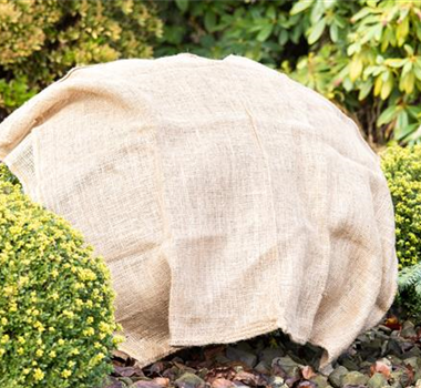 GUT GESCHÜTZT DURCH DEN WINTER! GUT GESCHÜTZT DURCH DEN WINTER!