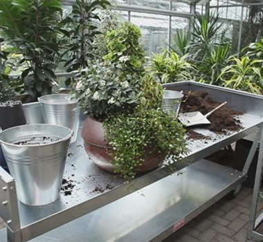 Blumenkübel - Dauerhafte Bepflanzung