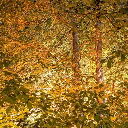 LICHTQUELLEN MACHEN DEN GARTEN SCHöNER! LICHTQUELLEN MACHEN DEN GARTEN SCHöNER!