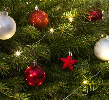 WIE GEHT... BAUMBELEUCHTUNG? WIE GEHT... BAUMBELEUCHTUNG?