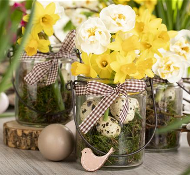 FRüHLINGSGEFüHLE AUS DER ZWIEBEL! FRüHLINGSGEFüHLE AUS DER ZWIEBEL!