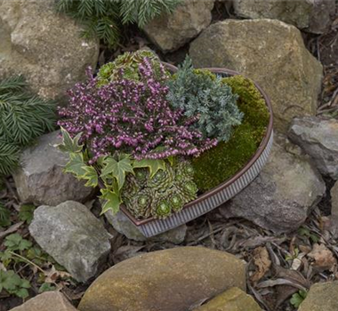 DAS GRAB IM HERBST! DAS GRAB IM HERBST!