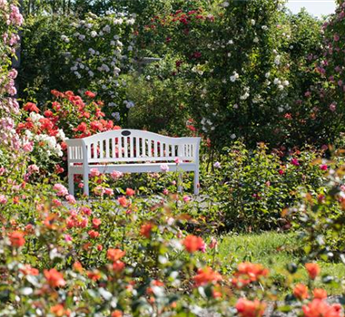 ROSENKAVALIERE ROSENKAVALIERE