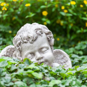 SCHöNER HERBSTLICHER GRABSCHMUCK!