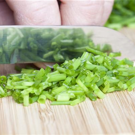 WAS WÄRE DER KRÄUTERGARTEN OHNE FRISCHE KRÄUTER?