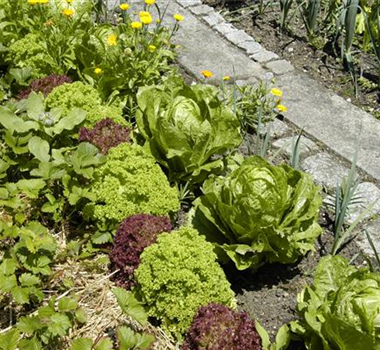 GENUSS-GARTEN! GENUSS-GARTEN!