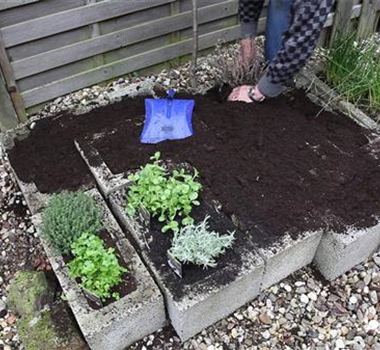 Kräuter - Einsetzen in Pflanzsteine