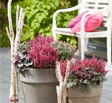 WIR KöNNEN FARBE! WIR KöNNEN FARBE!