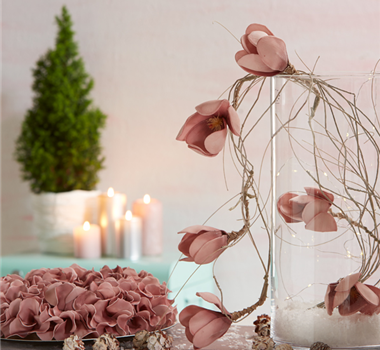 WIE GEHT... WINTERLICHER FEINSCHLIFF? WIE GEHT... WINTERLICHER FEINSCHLIFF?