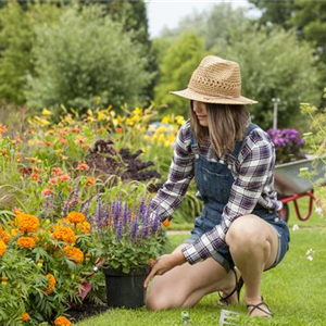 JETZT ZUM SPATEN GREIFEN