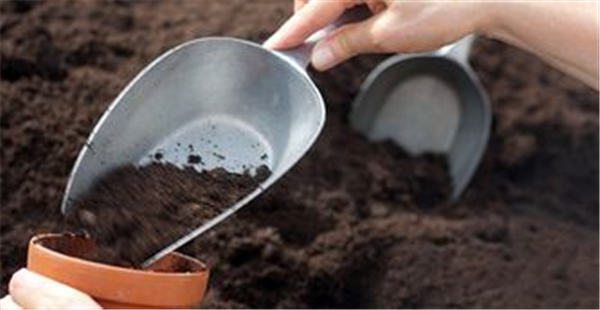 Compo-Gartenberatung & Bodenanalyse
