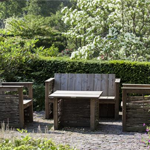 GARTENARBEITEN VOR DEM WINTER