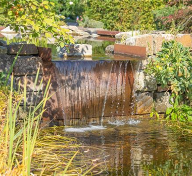 WASSERPFLANZEN FüR DEN GARTENTEICH