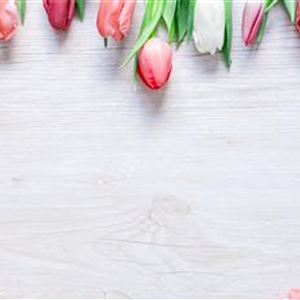 BLUMIGER VALENTINSTAG! BLUMIGER VALENTINSTAG!