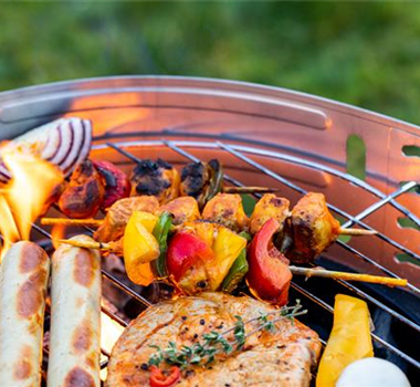 DIE GRILLSAISON IST ERöFFNET! DIE GRILLSAISON IST ERöFFNET!
