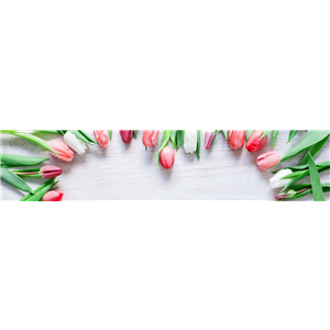 BLUMIGER VALENTINSTAG! BLUMIGER VALENTINSTAG!