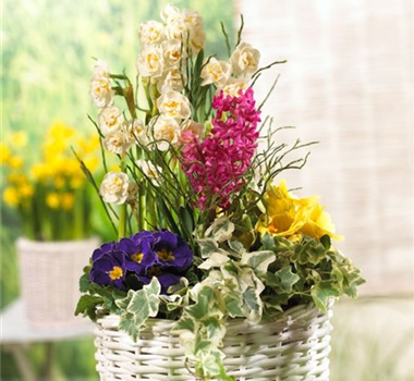 PFLANZIDEEN: FRüHLINGSBLüHER PFLANZIDEEN: FRüHLINGSBLüHER