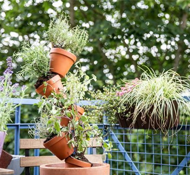 HEILKRäUTER FüR DIE GESUNDHEIT HEILKRäUTER FüR DIE GESUNDHEIT