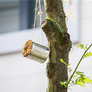 WIE GEHT... INSEKTENHOTEL?
