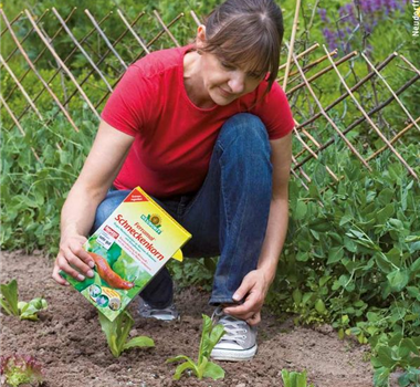 SALAT & PFLANZEN OHNE SCHNECKEN 
