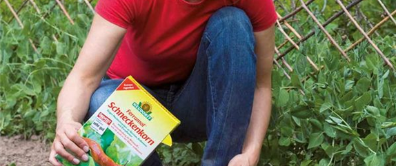 SALAT & PFLANZEN OHNE SCHNECKEN 