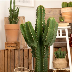 WIE GEHT... RAUMKLIMA?