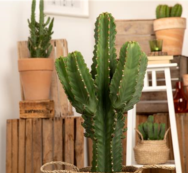 WIE GEHT... RAUMKLIMA? WIE GEHT... RAUMKLIMA?