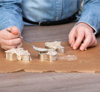 FETTFUTTER FüR VöGEL SELBER HERSTELLEN FETTFUTTER FüR VöGEL SELBER HERSTELLEN