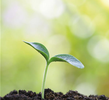 GENUSSGARTEN! GENUSSGARTEN!